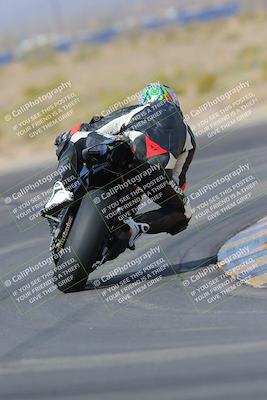 media/Mar-12-2023-SoCal Trackdays (Sun) [[d4c8249724]]/Turn 11 Backside (10am)/